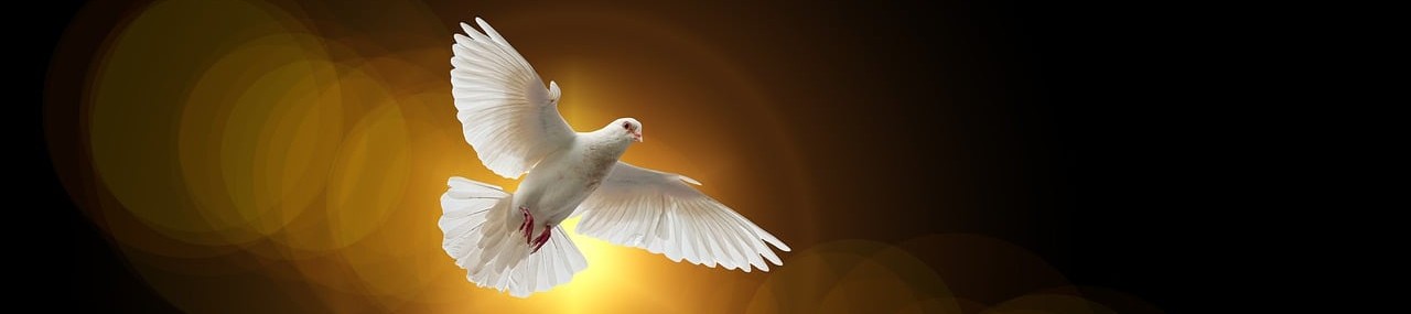 dove prayer banner