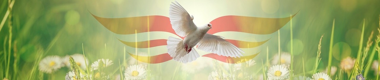 pentecost dove blog banner
